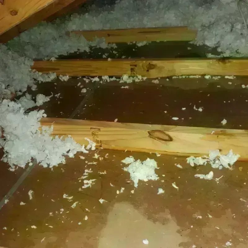 Attic Water Damage in Sangamon County, IL