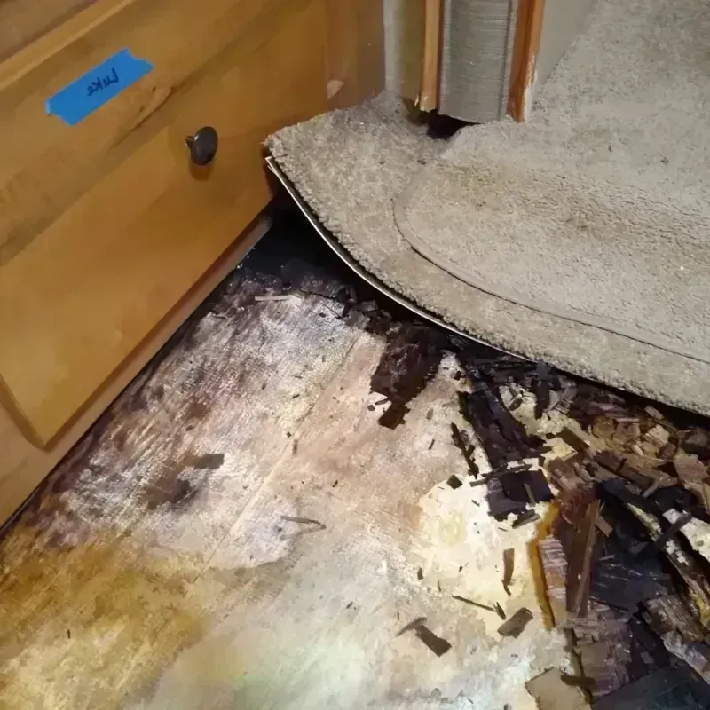 Best Wood Floor Water Damage Service in Sangamon County, IL